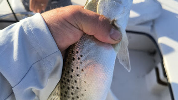 Fishing The Everglades