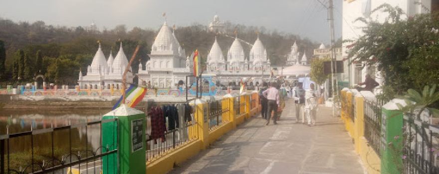 Sri Banshi Wale Temple, Patera