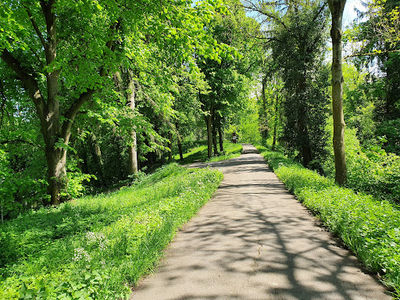 Glacis Park