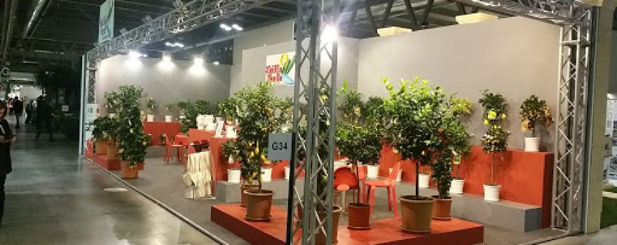Sicilia Verde di GIAMBO'