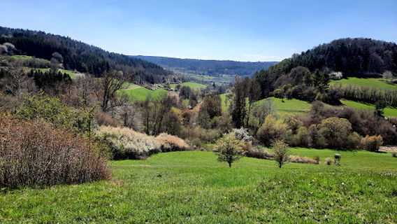 Ebhausen