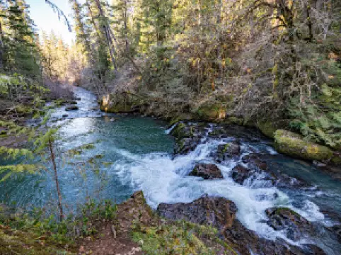 Cavitt Creek Falls Recreation Site