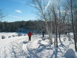 CLUB SKI BEAUCE