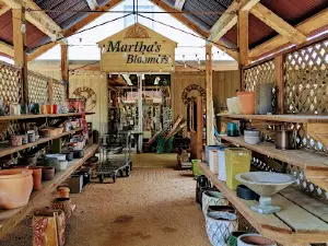 Martha's Bloomers