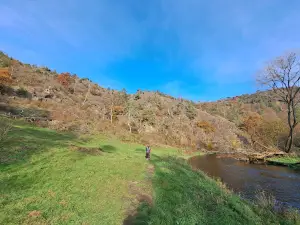 Mohelenská hadcová step