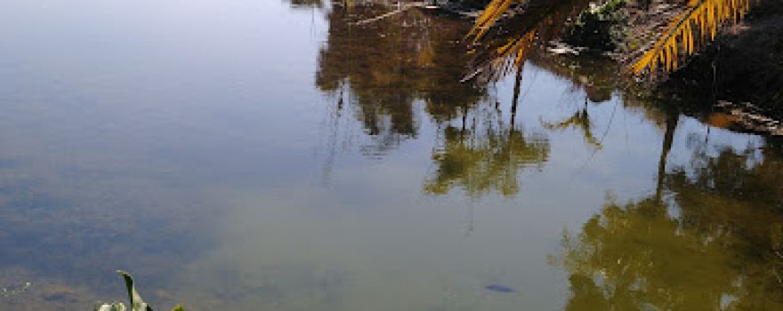 Las Lajas Park