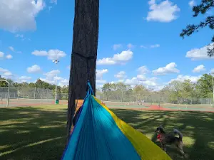 Roger's Park