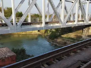 Kadu Nala Jungle