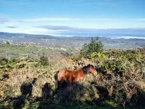 Ruta De Las Foces Del Rio Pendón