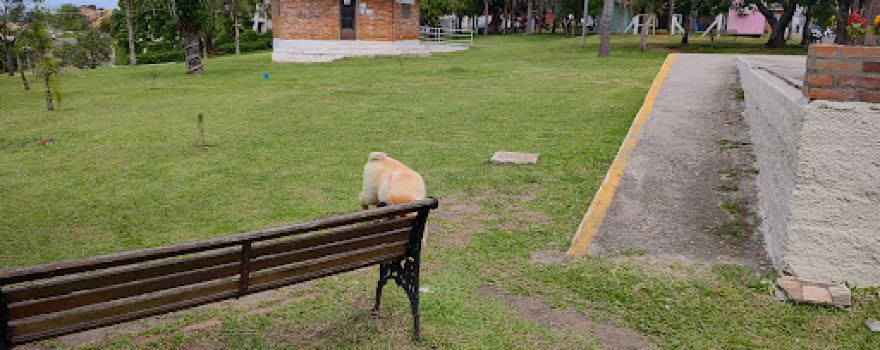 Praça Naro Pereira da Silva