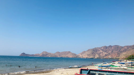 Jardin Ponte BJ Habibie