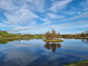 Birchwood Fisheries