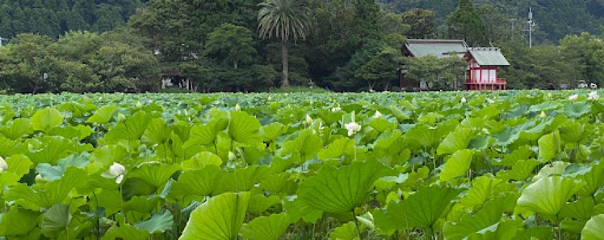 Kosuigaike Park