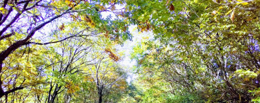 Hodatsusancho Park