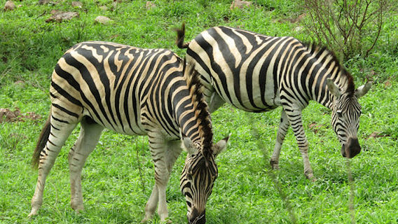 Punda Maria Gate @ Kruger National Park