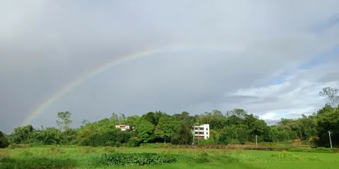 鹿川嶺橘红张园