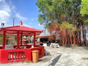 Sekinchan Wishing Tree