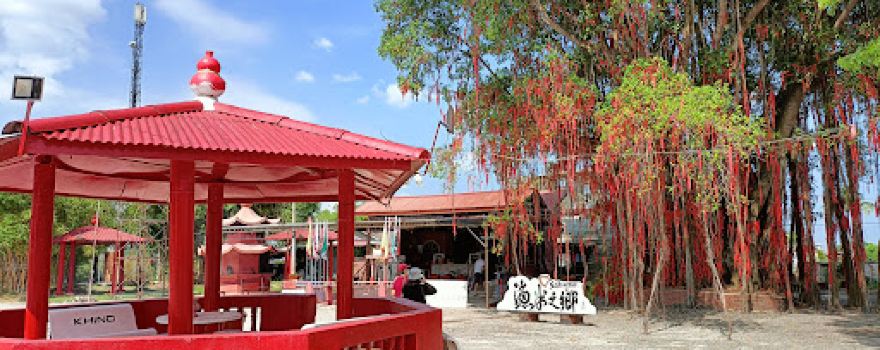 Sekinchan Wishing Tree