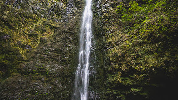 PR9 Levada do Caldeirão Verde