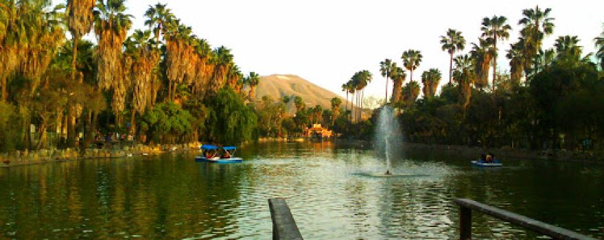 Parque/Park Morelos