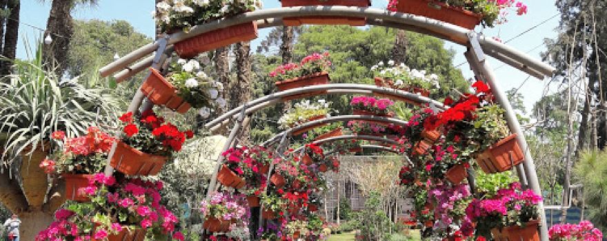 Orman Garden