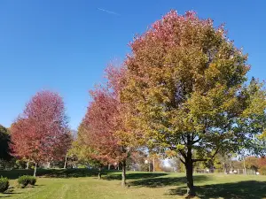 South Hills Park