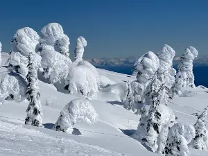 Experience Comox Valley