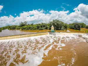 Dam Lima Brandão
