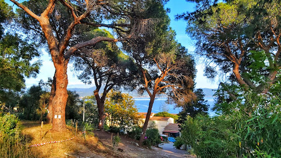 Camping Barbicaja - Camping di Barbicaghja