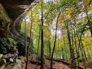 Bear Branch Campgrounds