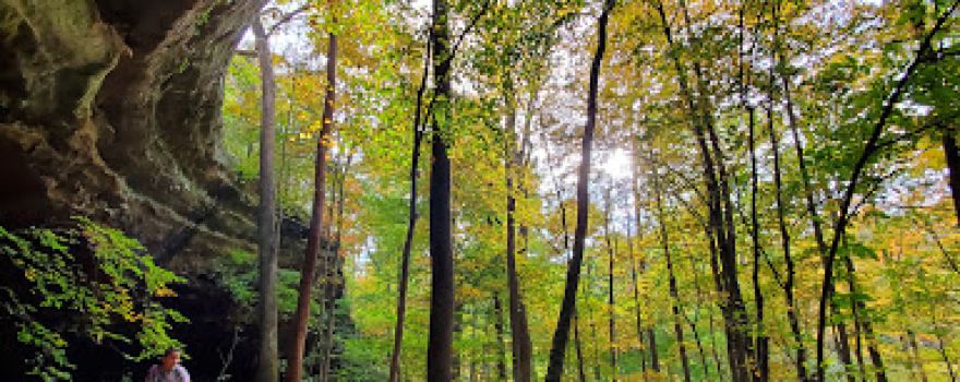 Bear Branch Campgrounds