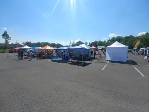 LaFollette Outdoor Flea Market