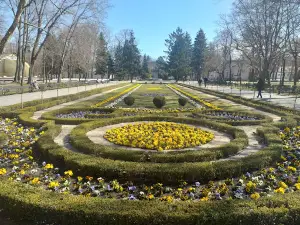Sanatorium Uzdrowiskowe Kujawiak