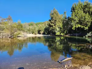 Cotter Bend