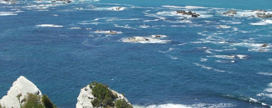 Kaikoura Bay
