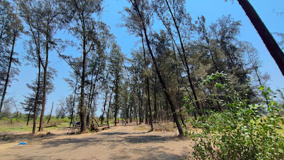 Vasai Beach