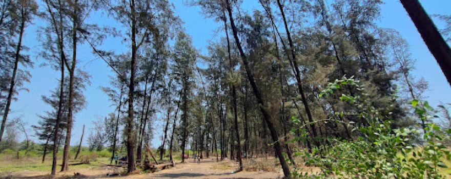 Vasai Beach