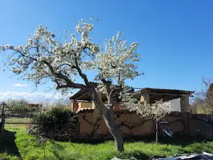 Centro de Interpretación de los Campamentos Romanos y Museo Arqueológico