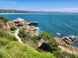 Tathra Wharf Lookout