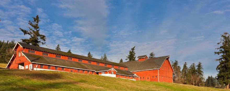 Canopy Tours NW - Zipline Tour, Team Building Challenge Course