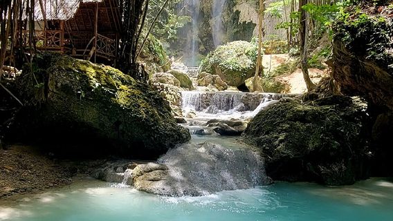 Tumalog Waterfalls