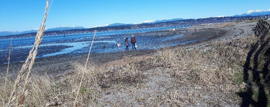 Crescent Beach
