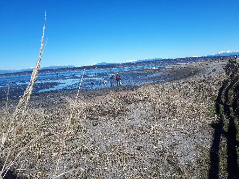 Hotels near Crescent Beach
