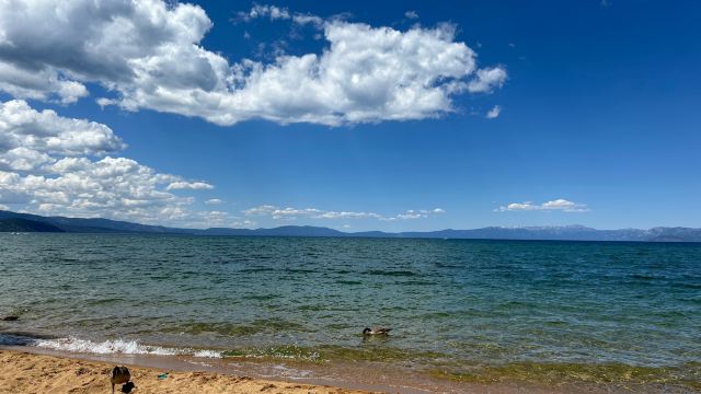 Pope Beach