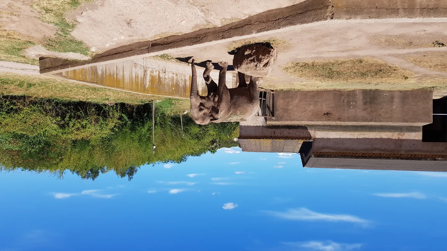 1_Parc Zoologique de Frejus