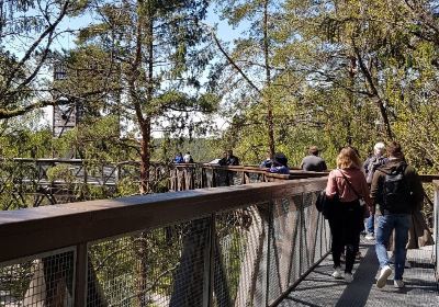 Treetop walking path and information centre