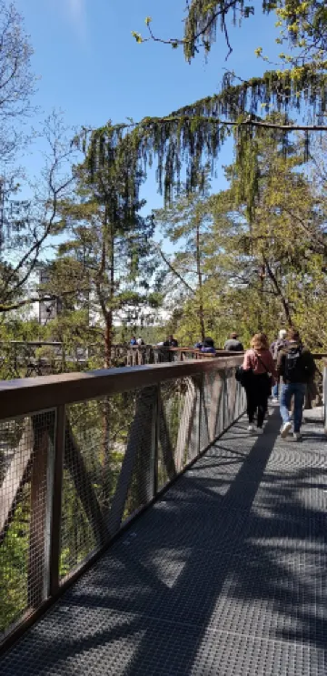 Treetop walking path and information centre