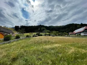 Sommerrodelbahn Gutach