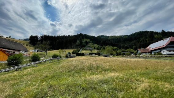 Sommerrodelbahn Gutach