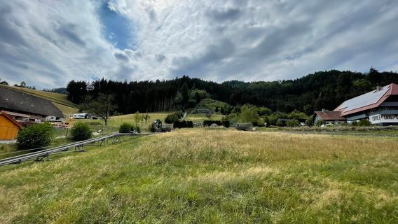 Sommerrodelbahn Gutach
